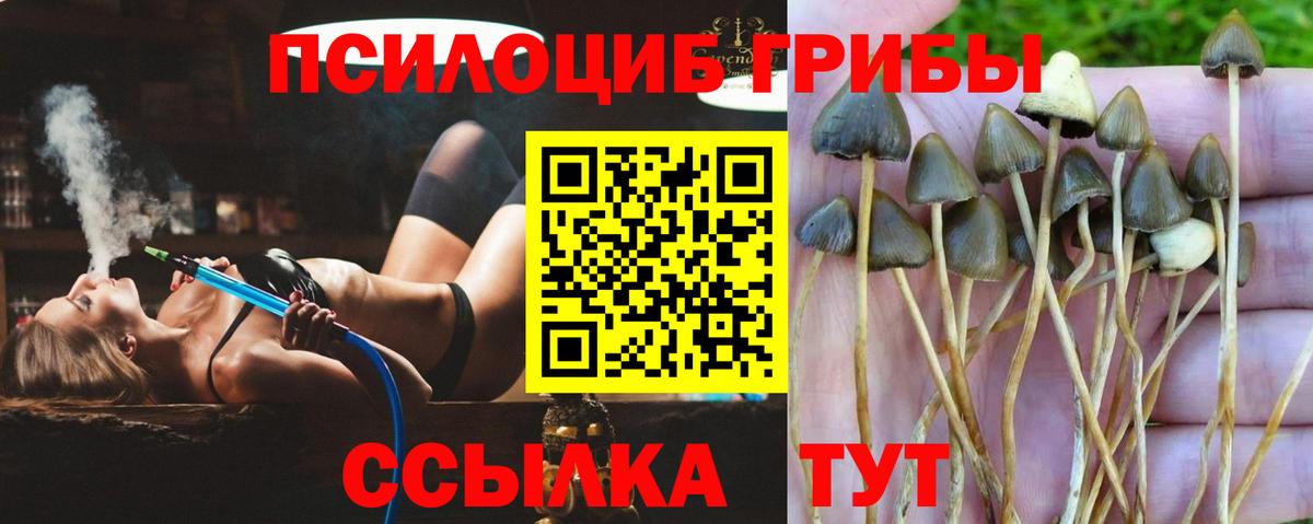 Галлюциногенные грибы Magic Shrooms  Вход с VPN  Медногорск 
